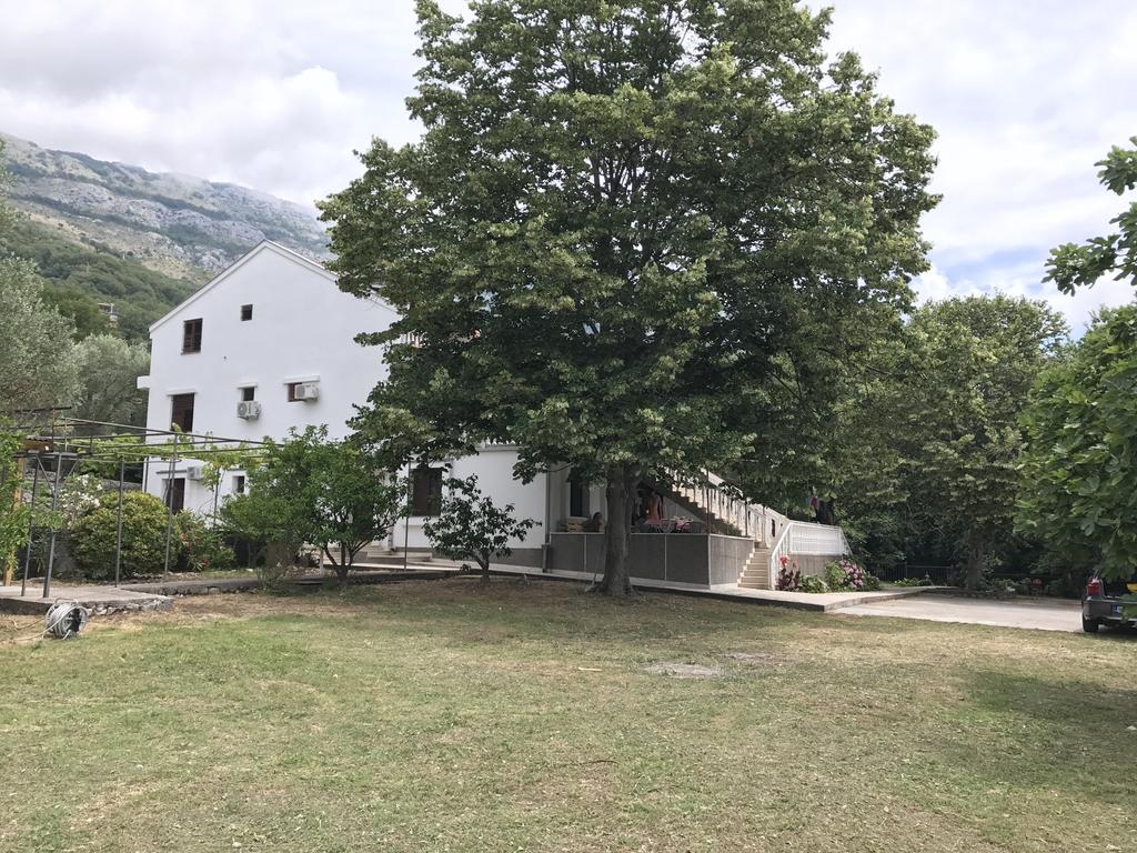 Ferienwohnung Vuko I Magdalena Midzor Petrovac na moru Exterior foto