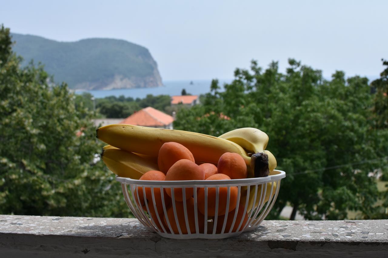 Ferienwohnung Vuko I Magdalena Midzor Petrovac na moru Exterior foto